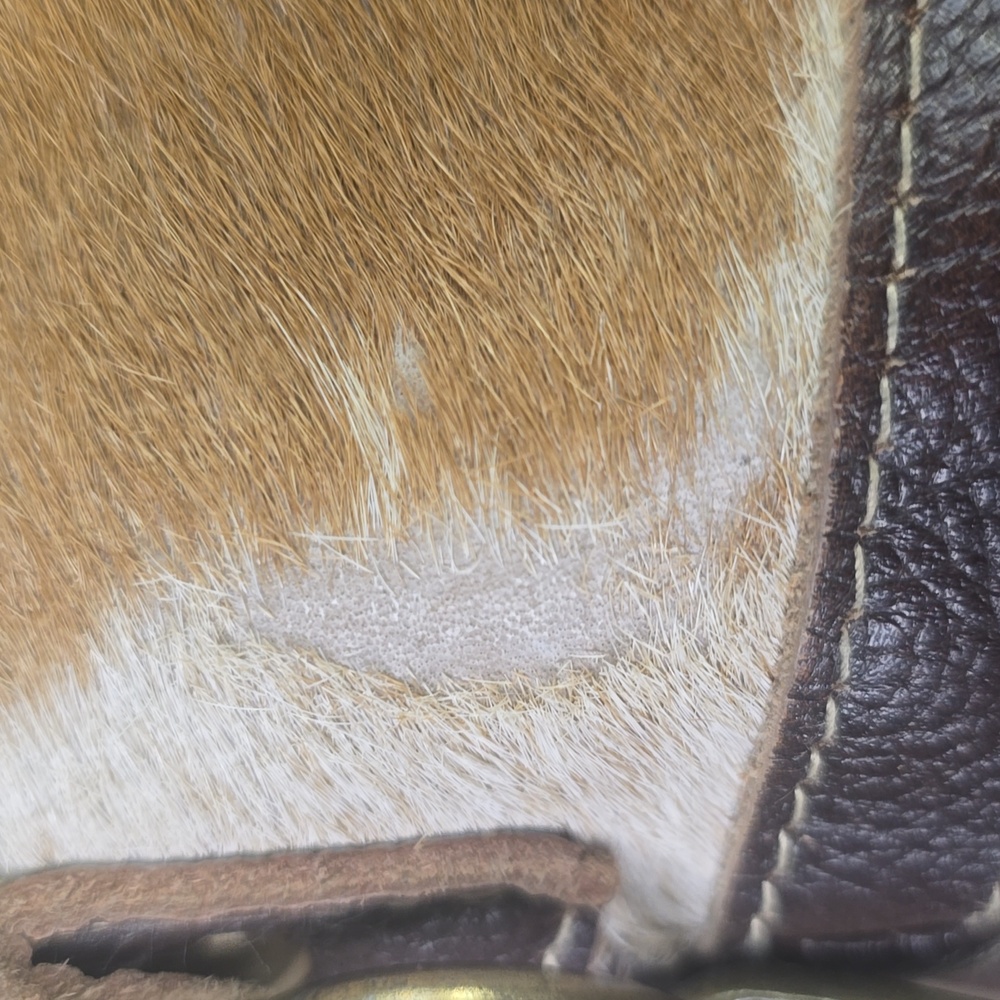 Myra Brown Leather With Calf Hair Trim & Fringe Women Bag, Crossbody - Picture 3 of 6